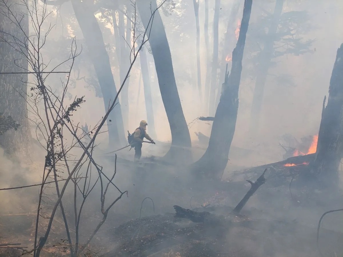 Bariloche y el incendio en el parque Nahuel Huapi: llovió, pero preocupa la intensidad del viento