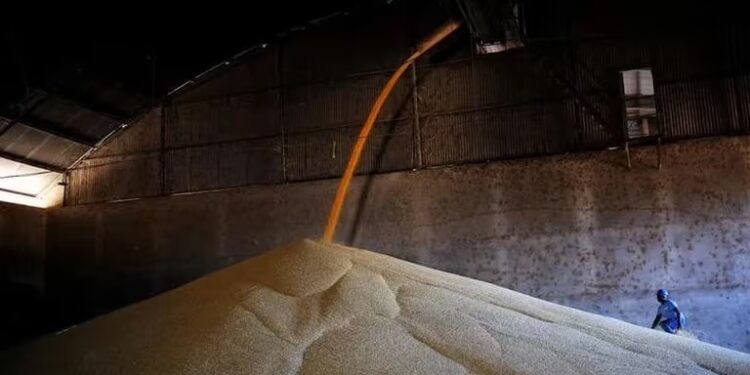 Advierten sobre posibles pérdidas de 10% a 30% en la soja por la ola de calor