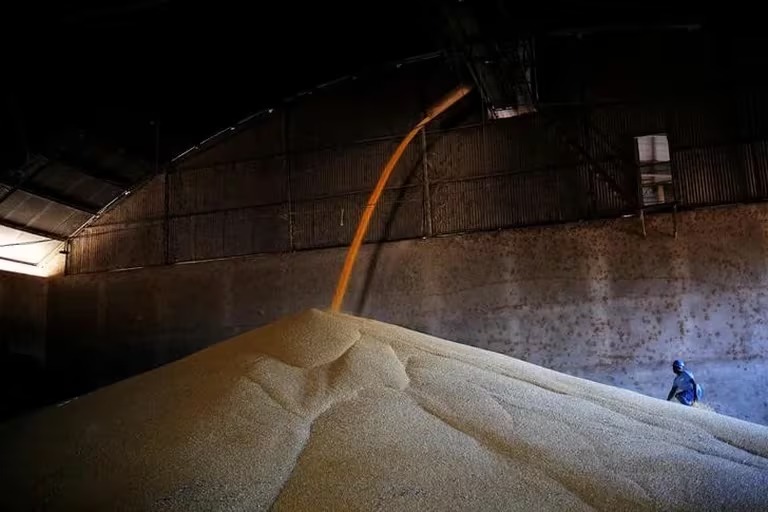 Advierten sobre posibles pérdidas de 10% a 30% en la soja por la ola de calor