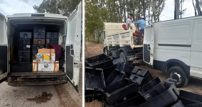 Entierro sanitario de dos toneladas de frutos de mar transportadas irregularmente