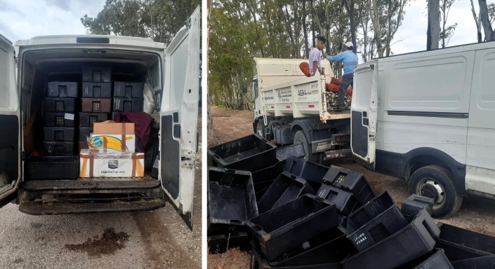 Entierro sanitario de dos toneladas de frutos de mar transportadas irregularmente