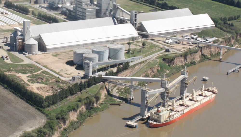 Por la baja de precios, Argentina ya perdió U$S 3.300 millones de su principal producto de exportación