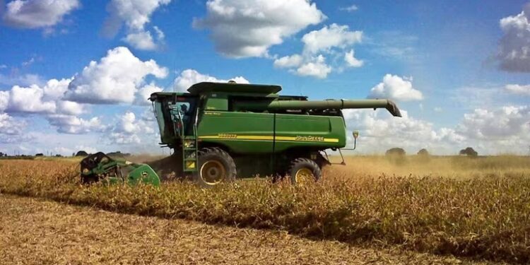 Harina de soja: por qué cae el precio internacional del principal producto de exportación argentino
