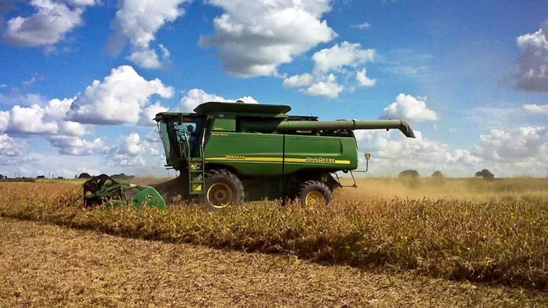 Harina de soja: por qué cae el precio internacional del principal producto de exportación argentino