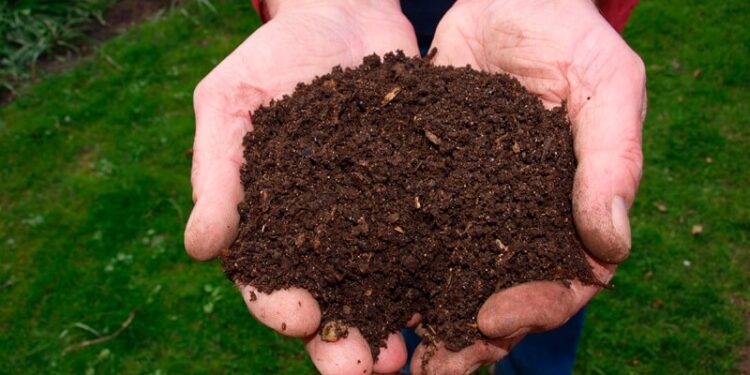 Innovación sustentable en la agricultura a través del compostaje y lombricultura