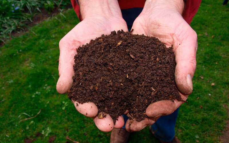 Innovación sustentable en la agricultura a través del compostaje y lombricultura