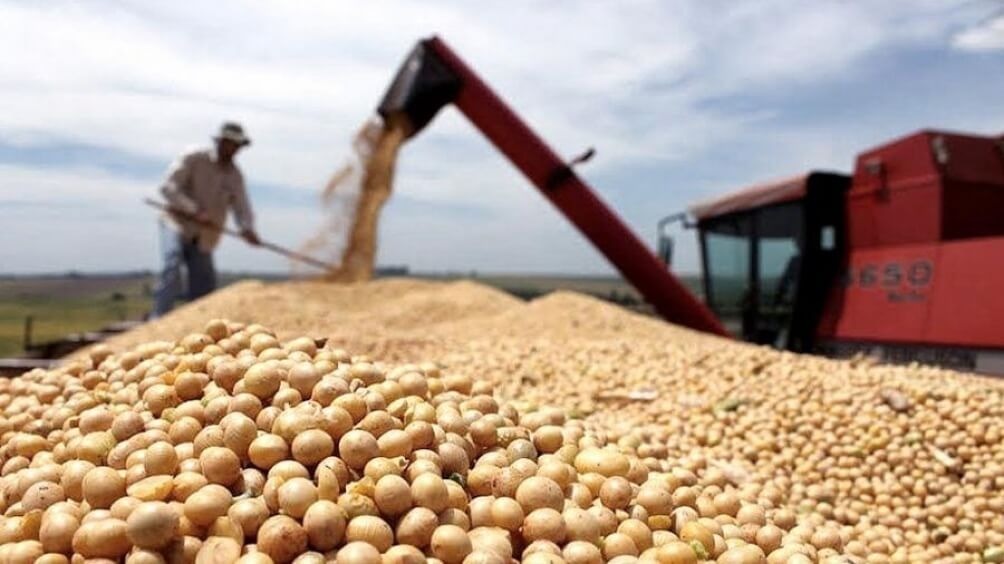 Vuelven las quejas del agro contra el Banco Central por “discriminación financiera”