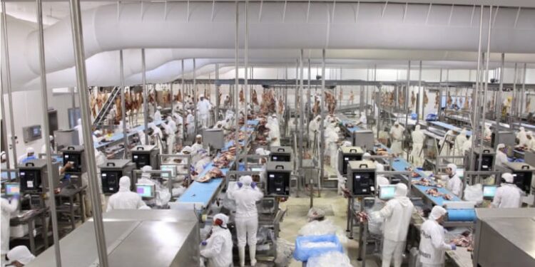 Durante el mes de enero, repuntó el ingreso de dólares por exportaciones de carne