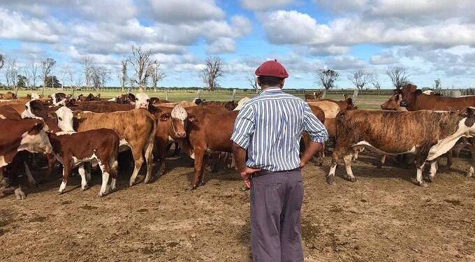 Renatre aumentó a $85.000 la prestación por desempleo para trabajadores rurales