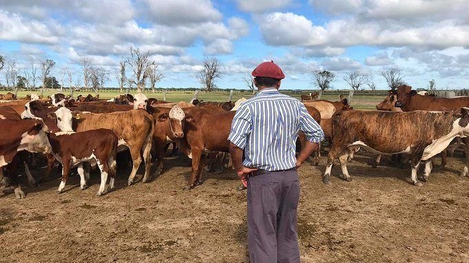 Renatre aumentó a $85.000 la prestación por desempleo para trabajadores rurales