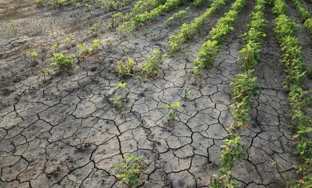 Alarma climática: el nivel de enfriamiento esperado por La Niña ha sido pocas veces visto en los últimos 25 años