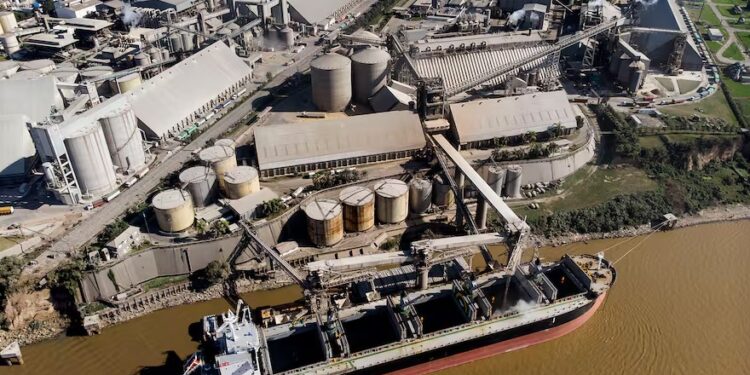 Deuda histórica: la cerealera Vicentin obtuvo una aprobación clave y quedó a un paso de salir del concurso de acreedores