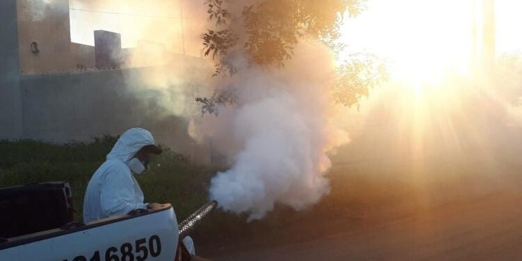 Lucha contra el dengue: ¿por qué es fundamental la participación de ingenieros agrónomos?