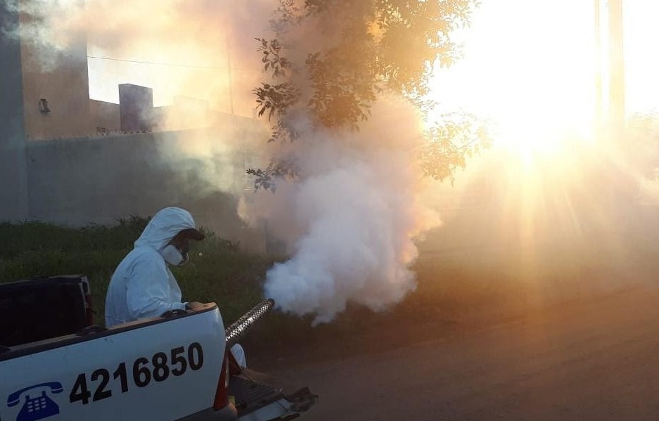 Lucha contra el dengue: ¿por qué es fundamental la participación de ingenieros agrónomos?