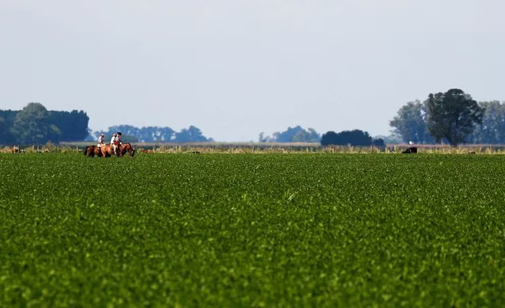 La relación del campo y el Gobierno: ¿cómo analiza el sector los primeros 90 días de la gestión de Milei?
