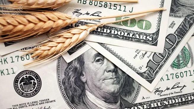 Productores afinan la punta del lápiz: el trigo perforó los u$s200 y el dólar los $1.000