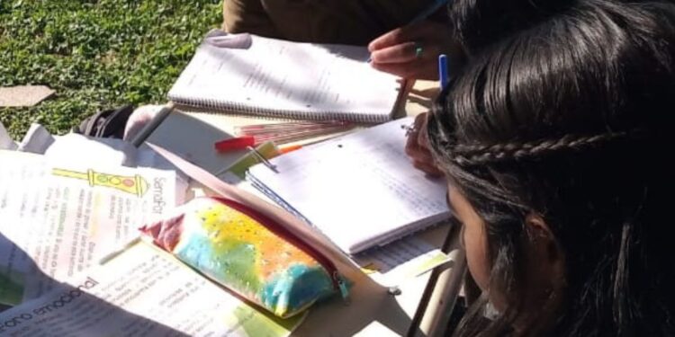 Así fue el inicio del ciclo lectivo en Argentina según Minkai