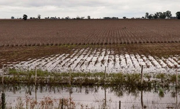 Las lluvias fueron excesivas y se reportan pérdidas productivas