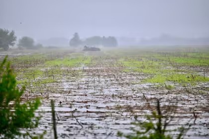 Se esperan nuevas lluvias y empiezan a preocupar los excesos