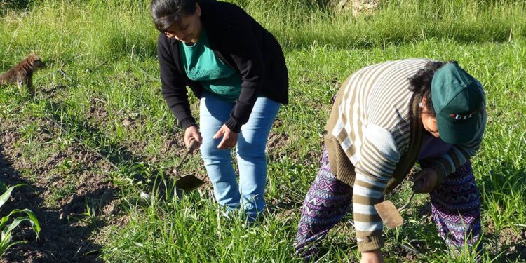 Cierran el Instituto de Agricultura Familiar, Campesina e Indígena que había creado Alberto Fernández