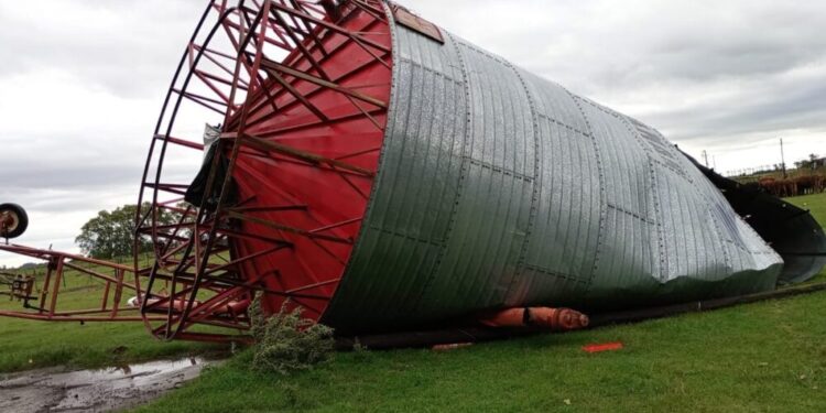 El temporal dejó 35.000 hectáreas dañadas en 9 de Julio y piden declarar el “desastre agropecuario”
