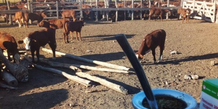 Para la Mesa de Enlace entrerriana, el ajuste del Impuesto Inmobiliario Rural debe fijarse en el 139%