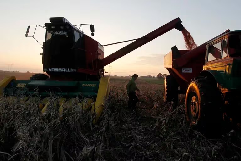 La Sociedad Rural se metió en la polémica por la suba de impuestos en Buenos Aires y alertó que los productores atraviesan “una situación crítica”