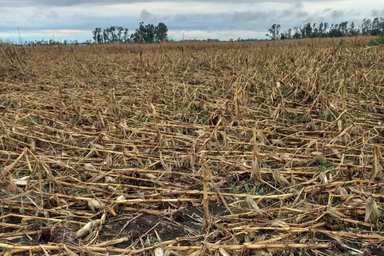 “Pronóstico reservado”: anticipan cuántos días pasarán sin nuevas tormentas y cómo serán los próximos temporales