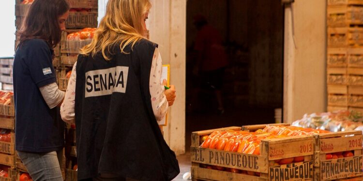 Paro por 48 horas en el Senasa: no habrá exportaciones ni controles en las fronteras