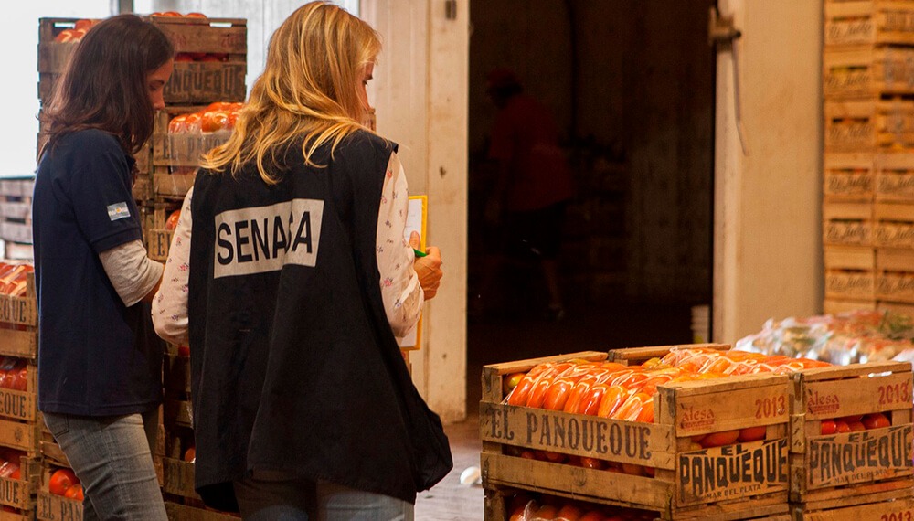 Paro por 48 horas en el Senasa: no habrá exportaciones ni controles en las fronteras