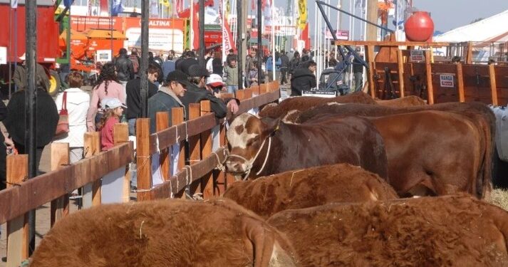 Agroactiva Ganadera en Argentina: inversiones por 188 mil dólares