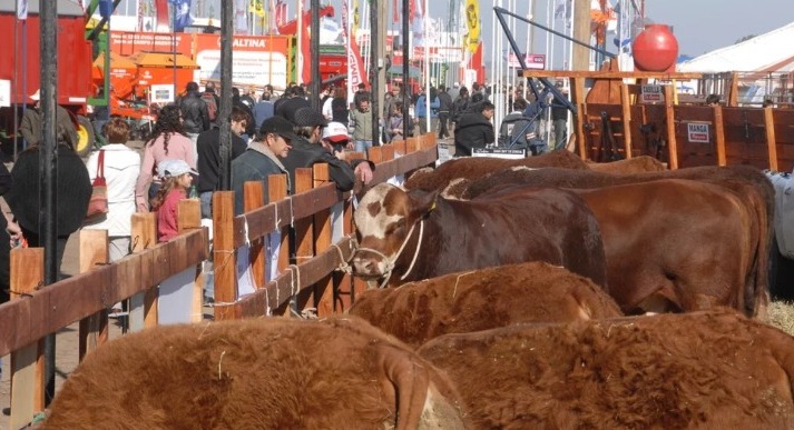 Agroactiva Ganadera en Argentina: inversiones por 188 mil dólares