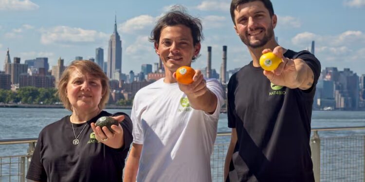 Soluciones innovadoras para extender la vida útil de frutas y verduras
