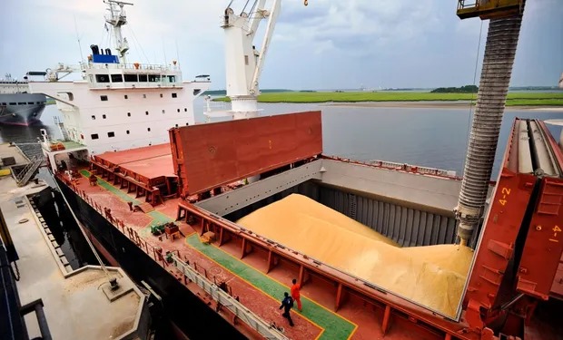 El agro ingresó un 61 % más de dólares en comparación con 2023