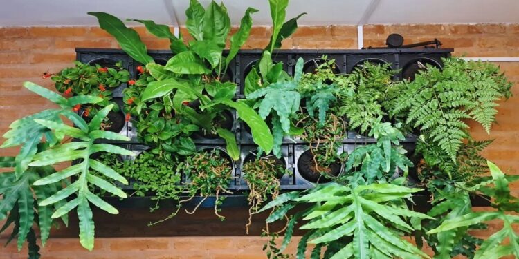 Paredes “naturadas”: las claves para armar jardines verticales en los muros de casas y edificios