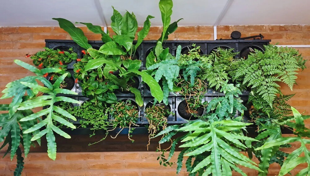 Paredes “naturadas”: las claves para armar jardines verticales en los muros de casas y edificios