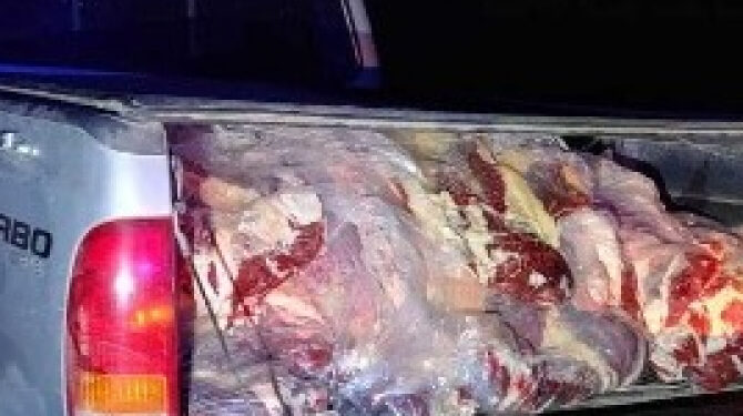 Detección de transporte irregular de 540 kg de carne bovina y equina en Río Negro