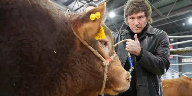 De los granos, a la carne y la leche: ¿cómo está la economía de los principales productos del campo?