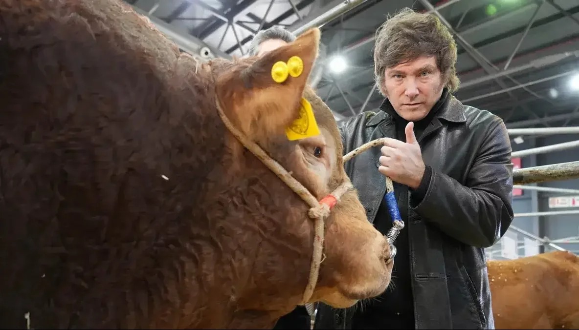De los granos, a la carne y la leche: ¿cómo está la economía de los principales productos del campo?