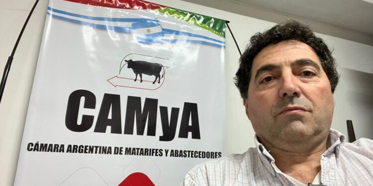 Desafíos en el sector de la Carne: caída de la faena y del consumo histórico de carne bovina