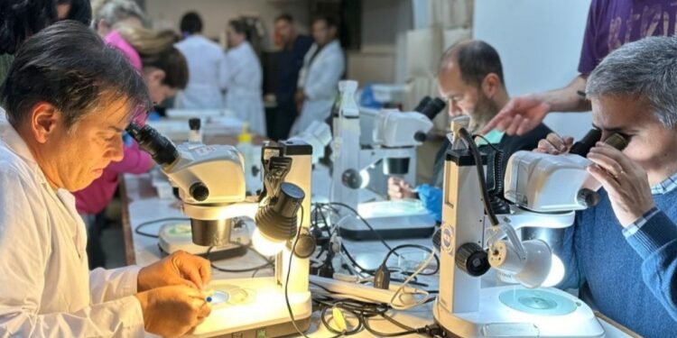 Capacitación sobre parásitos de relevancia zoonótica y cosmética en merluza