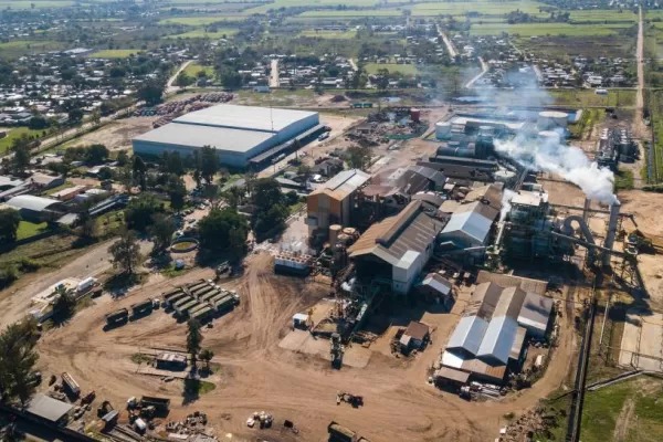Perspectivas y desafíos en el Inicio de la zafra 2024 en el Ingenio Leales