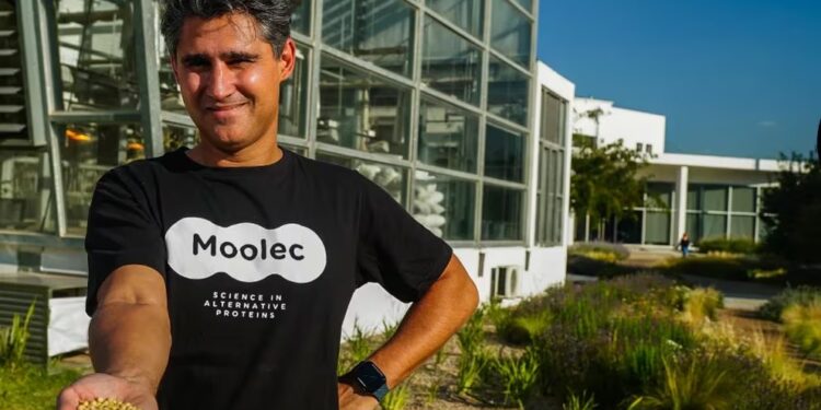 Estados Unidos aprobó un desarrollo argentino que logra que la semilla de soja produzca proteína de carne de cerdo
