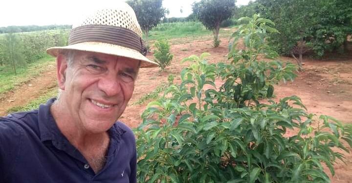 Paltas: un tesoro verde en la economía global