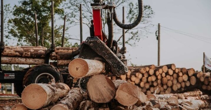 Forestales misioneros recibieron cursos sobre los nuevos requisitos para exportar por parte de UE