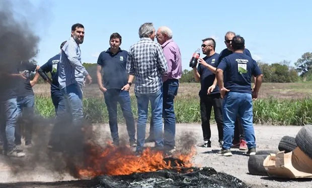 El gremio de aceiteros frena las exportaciones por la ley bases