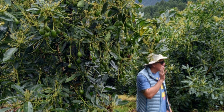Cuenta regresiva: todo listo para la segunda Jornada de Actualización Técnica en Paltas en Tucumán