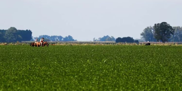 La provincia de Buenos Aires decidió congelar una cuota del Impuesto Inmobiliario Rural