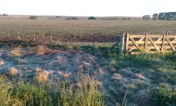 Despliegue generalizado de heladas y el impacto de las lluvias sobreabundantes