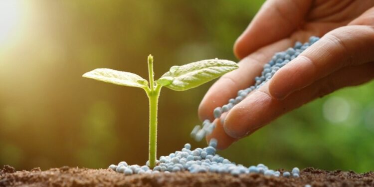 El gobierno argentino elimina aranceles para fertilizantes y los reduce en herbicidas